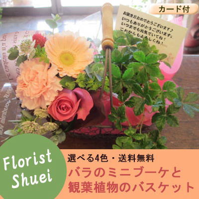 花屋FloristShuei『ミニブーケ＆観葉のワイヤーバスケット』