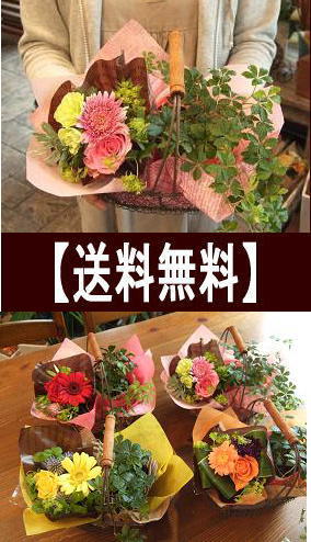 あす楽送料無料バラのミニブーケ(ミニ花束)&観葉植物のワイヤーバスケット花誕生日プレゼント母祖母女性女友達お誕生日お花フラワーギフト退職祝い送別会お祝い春花入学祝い入社祝い出産祝い結婚祝い退院祝い花記念日【花屋】