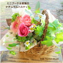 ミニブーケ&観葉植物のナチュラルバスケット 花束 観葉植物 誕生日 プレゼント 花 母 祖母 女友達 送別会 退職祝い 女性 男性 お誕生日 お花 フラワーギフ...