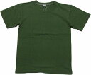 エントリーエスジー エクセレントウィーブ イングリッシュグリーン 半袖 Tシャツ メンズ 日本製 ENTRY SG EXCELLENT WEAVE ENGLISH GREEN 285