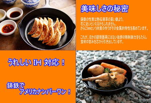 【LODGE】ロッジスキレット 8インチ通販格安セール情報 楽天 通販