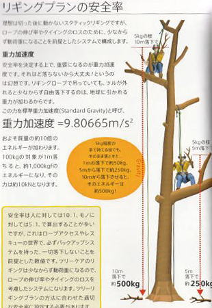 ［ロープワークブック］Tree Rigging TACTICS BASIC（ツリーリギング 作戦の基本） 2