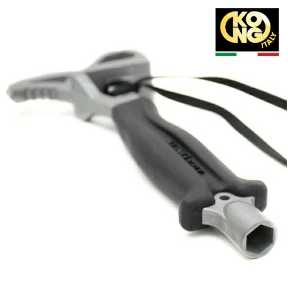 ���󥰡�KONG�ϥ������륤������