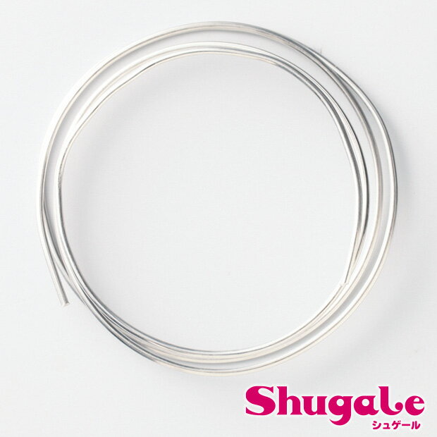 骨格ワイヤー 【メール便可】