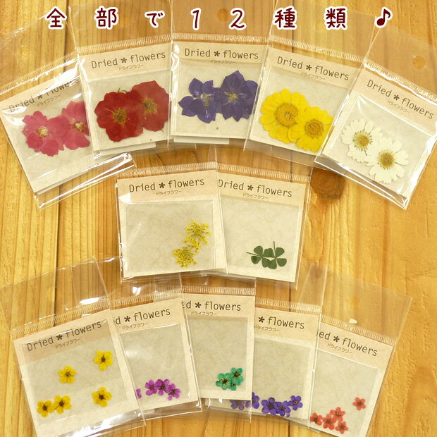 ������ �졼���ե� �������� �ڥ᡼���زġ� | �ȡ����� ����ե� �ե�