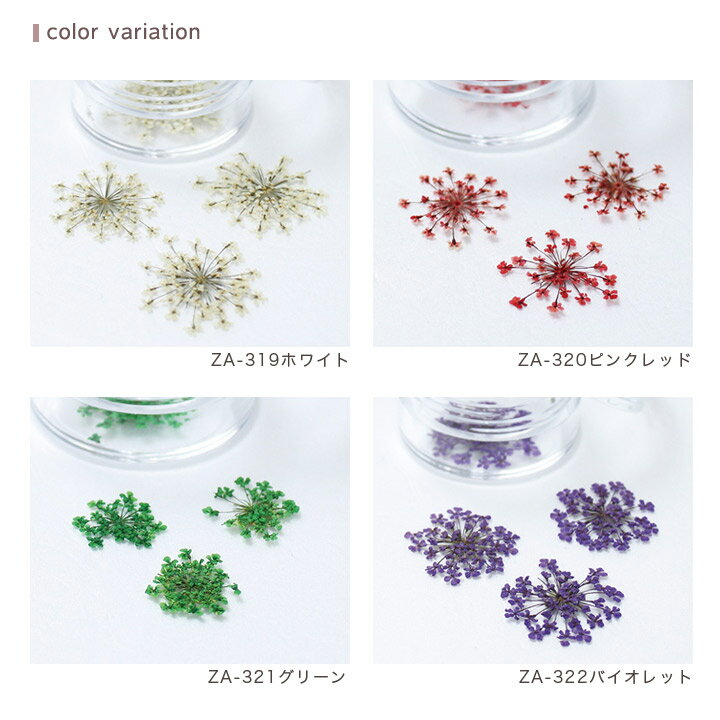 ���֥ߥ˥ѥå� �졼�� 5�� �������� | ������ �ե� �ֺ� ��� �ϡ��Хꥦ�� ��ʬ�� ���� �ϥ�ɥᥤ�� ����ե�