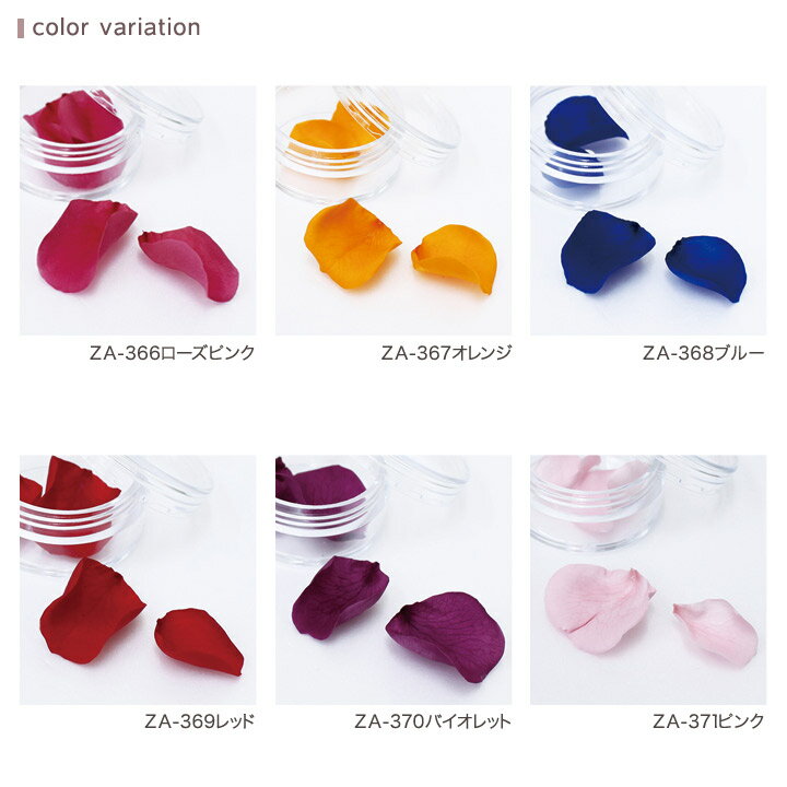 �ץꥶ�ߥ˥ѥå� �ڥ�������� 4�� �������� | �ץꥶ���֥ɥե� �ե� �ֺ� ��� �ϡ��Хꥦ�� ��ʬ�� ���� �ϥ�ɥᥤ�� ����ե� �꡼��