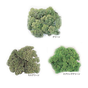 アイスランドモス | ハーバリウム 手作り 手芸 こけ コケ 苔 材料 手芸材料 苔盆栽 盆栽 グリーンインテリア グリーン インテリア インテリアグリーン おしゃれ