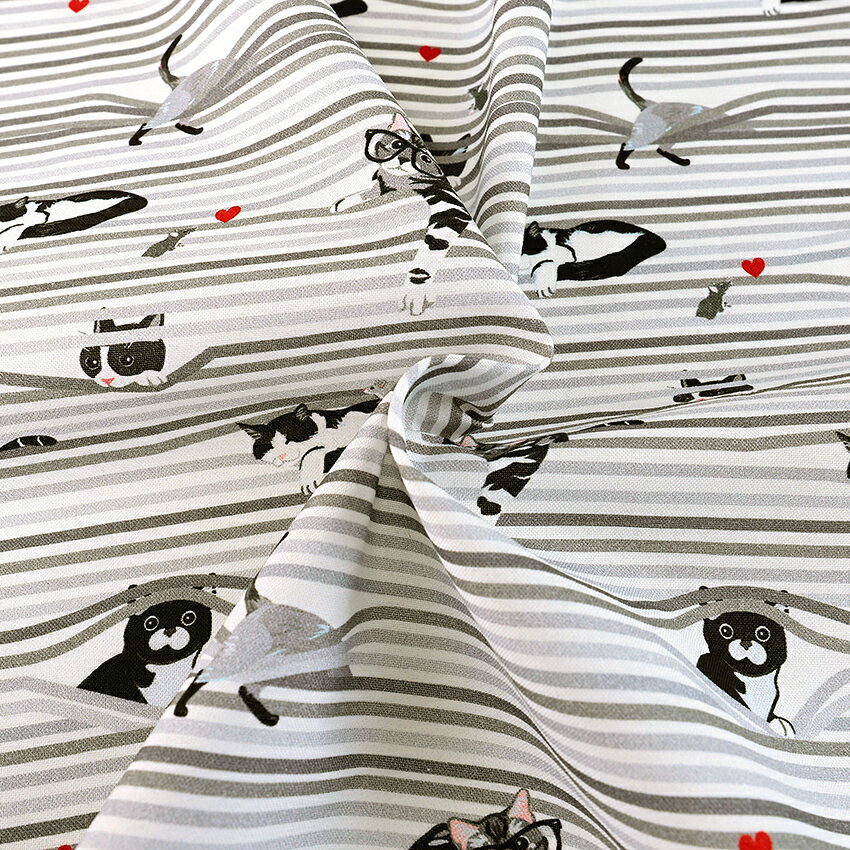 USA���åȥ� PEEKABOO SHADE CATS 50cmñ�� | ����� �ڤ���� ���� �� ���� ���åȥ�100�� ����ꥫ�󥳥åȥ� Timeless Treasures ������쥹�ȥ쥸�㡼 ���� ���� ǭ �ͤ� ����å� �ˤ�� ���襤�� �������