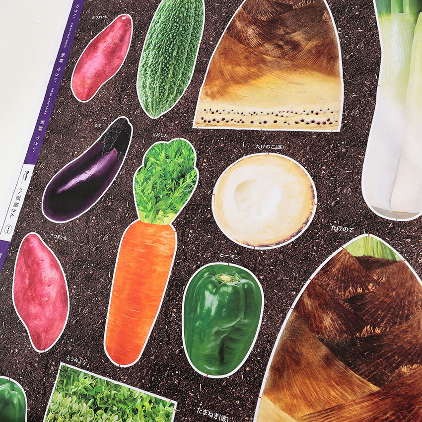 インクジェットパネル 八百屋さん タケノコ 108×95cm カットクロス｜生地 布 布地 はぎれ カット布 インクジェットプリント ごっこ遊び コットン100％ パネル生地 薄手 薄地 リアル おもしろい かんたん ユニーク 知育玩具 野菜 夏休み 宿題 工作 自由 研究 手芸