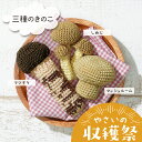 オリムパス やさいの収穫祭 三種のきのこ|あみぐるみ キット 野菜 編みぐるみ エミーグランデ レース糸 あみもの 手編み かぎ針編み
