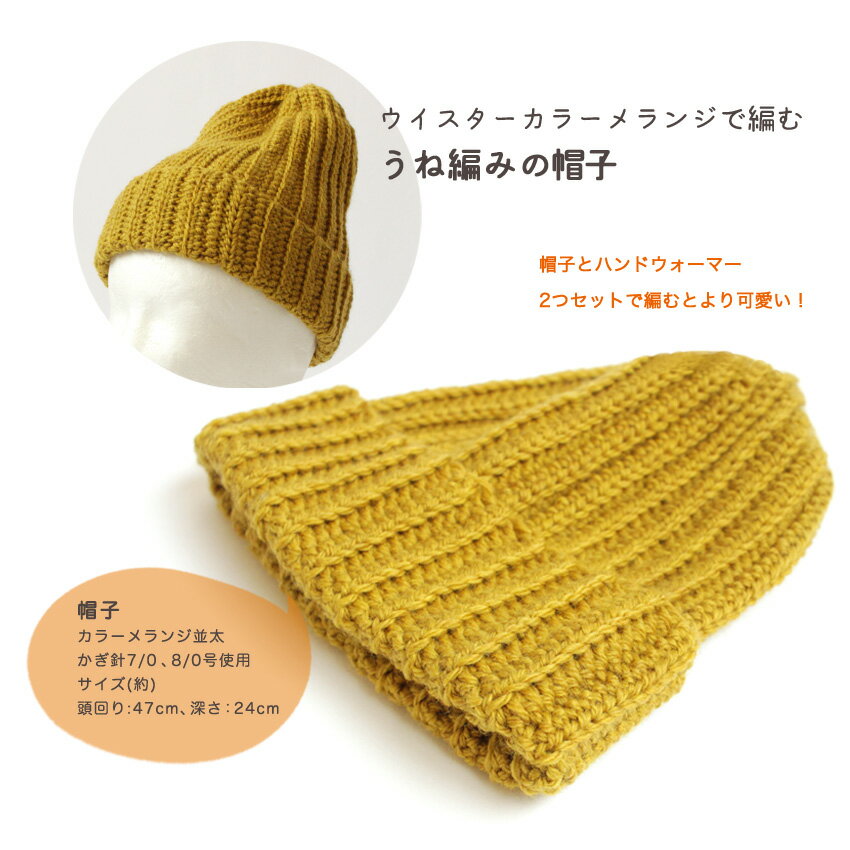 �Ԥ߿� �����Ԥߤ�˹�� H22-1�å��������� ���顼���� ���� �������Ԥ� �˥å�