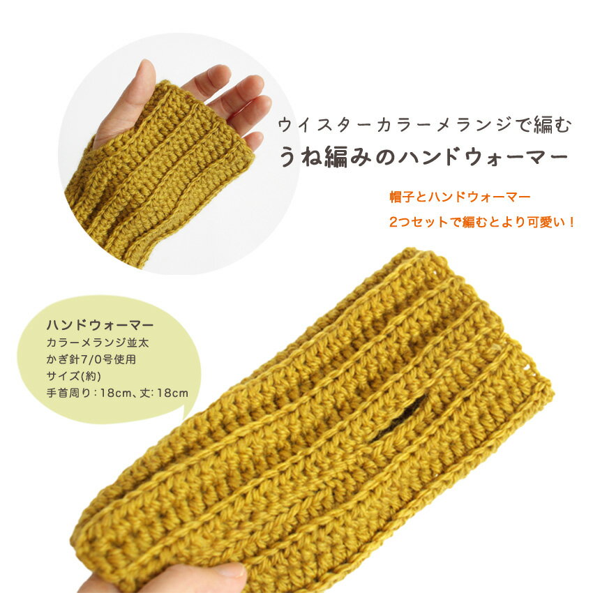 �Ԥ߿� �����ԤߤΥϥ�ɥ������ޡ� H22-2�å��������� ���顼���� ���� �������Ԥ� �˥å�