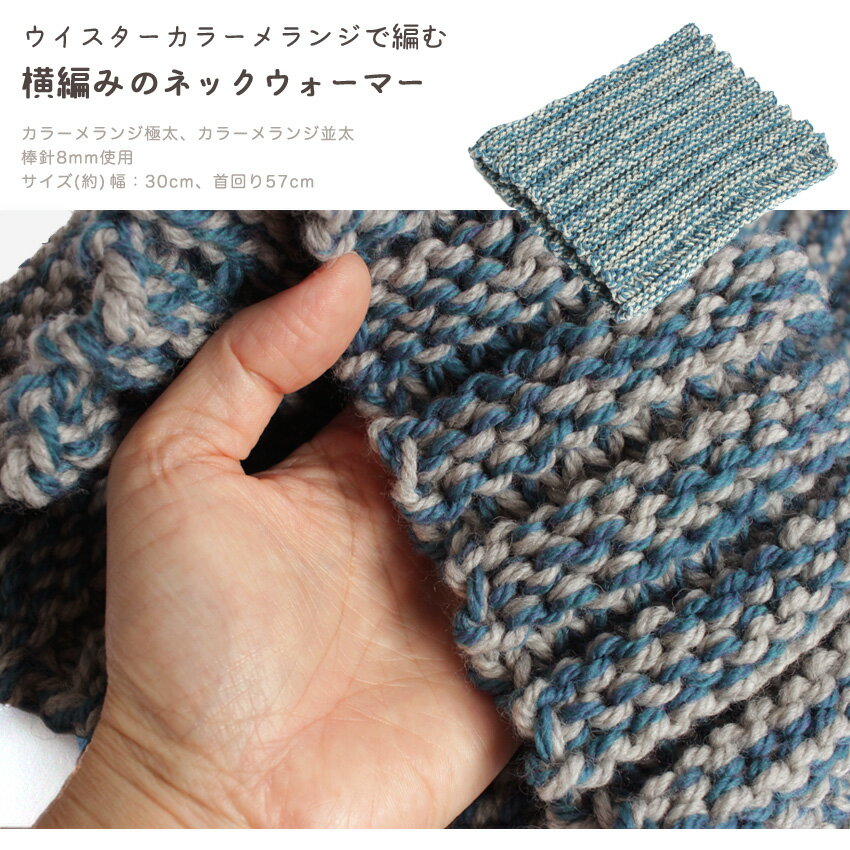 �Ԥ߿� ���ԤߤΥͥå��������ޡ� H22-3�å��������� ���顼���� ���� �����Ԥ� �˥å�