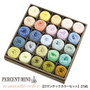 【SS期間エントリーP5倍!】 リッチモア パーセントMINI 25色セット 2ロマンティック|10g 合太 小巻 毛糸 手編み ハマナカ ニット 編み物 あみ...
