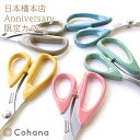 限定色 Cohana 日本橋本店 Anniversary 漆塗りの関の裁ちばさみ 限定数量カラー|Cohana ギフト KAWAGUCHI 河口 道具 地域産業...