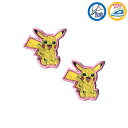 ポケットモンスター ピカチュウ プチワッペン(2個入) シールワッペン ポケモン PPP001 (メール便可)