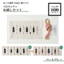 100ネエサン お試しセット 「ペールグレー」 刺しゅうキット ルシアン 542202 (取り寄せ品) (メール便可)