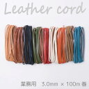【送料無料】 メルヘンアート 『業務用 ボタニカルレザーコード3.0mm巾×100m巻』 栃木レザー 平革ひも組み 革ひも 皮革 本革 ひも 紐 (取り寄せ品)...