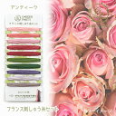 オリムパス フランス刺しゅう セレクトカラー 糸セット (2M×10色) GARDEN PARTY アンティーク ガーデンパーティー GP-C6 (取り寄せ品) (メール便可)