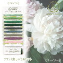 オリムパス フランス刺しゅう セレクトカラー 糸セット (2M×10色) GARDEN PARTY クラシック ガーデンパーティー GP-C12 (取り寄せ品) (メール便可)