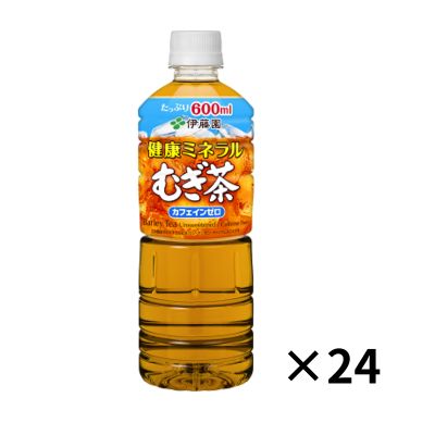 򹯥ߥͥमPET600ml24