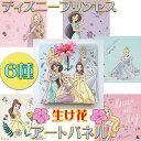 ディズニープリンセス IKEBANA 生きてるインテリア カーネーション【壁かけ インテリア ウェルカムボード 記念 ボード おしゃれ ディズニー ディズニー好...