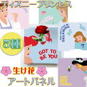 ディズニープリンセス IKEBANA 生きてるインテリア カーネーション【壁かけ インテリア ウェルカムボード 記念 ボード おしゃれ ディズニー ディズニー好...