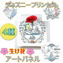 ディズニープリンセス IKEBANA 生きてるインテリア カーネーション【壁かけ インテリア ウェルカムボード 記念 ボード おしゃれ ディズニー ディズニー好...