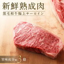 熟成牛サーロイン 熟成肉 牛肉 ステ