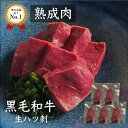 【期間限定3点購入で20％OFF】牛刺身 熟成牛生ハツ刺し 黒毛和牛500g 熟成肉 朝採れ牛ハツ 赤城牛 国産牛 ホルモン焼 熟成ホルモン ギフト 贈答用 BBQ 贈り物 自宅用 国産 和牛 旬熟成 旨味 エイジングシート フードテック 特許 牛刺し