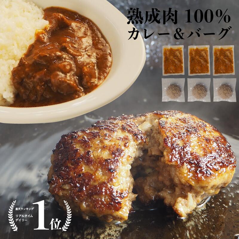 ハンバーグ カレー 合計6パック 本熟 熟成肉 100％ 黒毛和牛 ギフト bbq