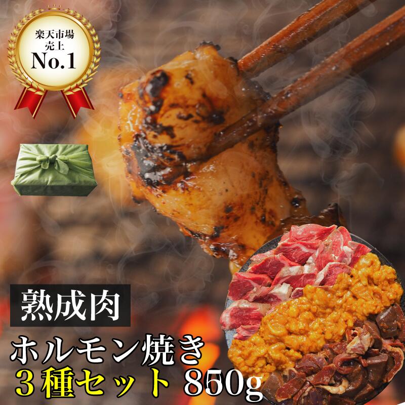 熟成肉 発酵熟成 焼肉 ホルモンミックス 6人前850g BBQ セット 牛肉 豚肉 シマチョウ ハラミ ホルモン焼 熟成ホルモン ギフト 自宅用 国産 和牛 大麦豚 旬熟成 旨味 エイジングシート フードテック 特許のサムネイル