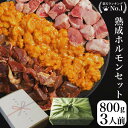 熟成肉 焼肉 ホルモンミックス お中元 ギフト 発酵熟成 6人前800g 牛肉 豚肉 シマチョウ ハラミ ホルモン焼 熟成ホルモン