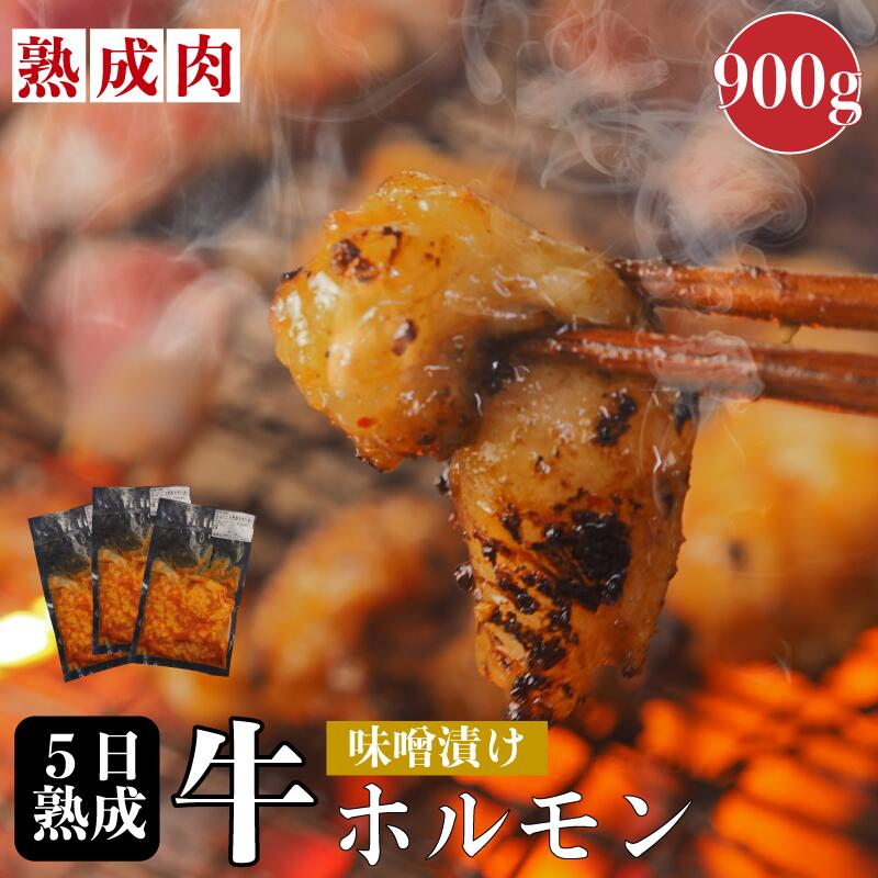 熟成肉 シマチョウ味噌漬け 900g 熟