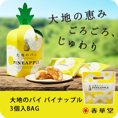 【春華堂公式】大地のパイ パイナップル 3個入BAG/パイナップル お菓子 焼き菓子 お中元 夏ギフト プチギフト　洋菓子 個包装 お礼 かわいい　スイーツ ギフト 手土産 挨拶 静岡 静岡土産 お土産 小分け ギフト 熨斗 ギフト対応 常温便