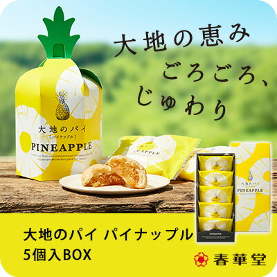 【春華堂公式】大地のパイ パイナップル 5個入BOX/パイナップル お菓子 焼き菓子 お中元 夏ギフト プチギフト　洋菓子 個包装 お礼 かわいい　スイーツ ギフト 手土産 挨拶 静岡 静岡土産 お土産 小分け ギフト 熨斗 ギフト対応 常温便