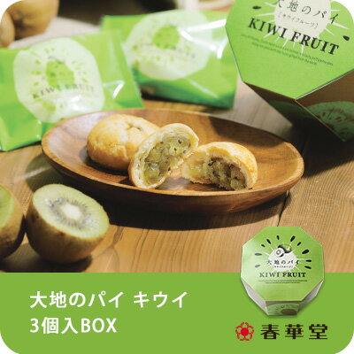 【春華堂公式】大地のパイ キウイ 3個入BOX/キウイ フルーツ お菓子 焼き菓子 プチギフト　洋菓子 個包装 お礼 かわいい　スイーツ ギフト 手土産 挨拶 静岡 静岡土産 お土産 小分け ギフト 熨斗 ギフト対応 常温便