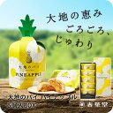 【春華堂公式】大地のパイ パイナップル 5個入BOX/パイナップル お菓子 焼き菓子 御中元 お中元 夏ギフト プチギフト 洋菓子 個包装 お礼 かわいい スイーツ ギフト 手土産 挨拶 静岡 静岡土産 お土産 小分け ギフト 熨斗 ギフト対応