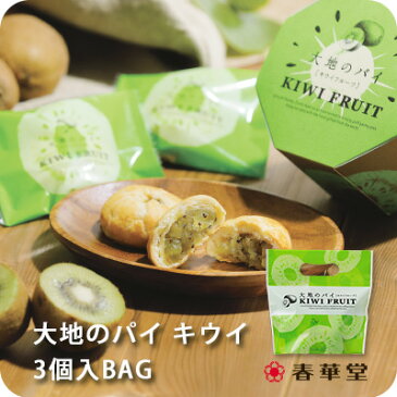 【春華堂公式】大地のパイ キウイ 3個入BAG/キウイ フルーツ 御中元 お中元 夏ギフト お菓子 焼き菓子 プチギフト 冷やしておいしい 洋菓子 個包装 お礼 かわいい　スイーツ ギフト 手土産 挨拶 静岡 静岡土産 お土産 小分け ギフト 熨斗 ギフト対応 常温便