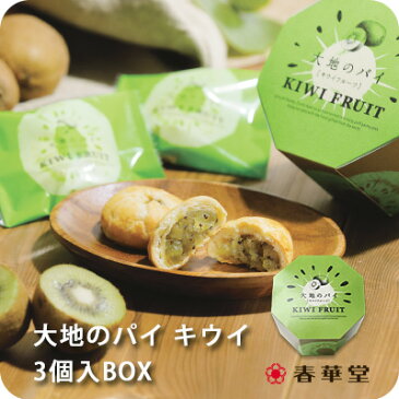 【春華堂公式】大地のパイ キウイ 3個入BOX/キウイ フルーツ 御中元 お中元 夏ギフト お菓子 焼き菓子 プチギフト 冷やしておいしい 洋菓子 個包装 お礼 かわいい　スイーツ ギフト 手土産 挨拶 静岡 静岡土産 お土産 小分け ギフト 熨斗 ギフト対応 常温便