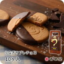 【春華堂公式】うなぎサブレチョコ 10枚入｜うなぎパイでお馴染みの春華堂の定番商品 バレンタイン ホワイトデー プチギフト お菓子 焼き菓子 チョコレート サブレ クッキー バレンタインデー 洋菓子 お土産 ギフト 贈り物 常温便 個包装 小分け 人気