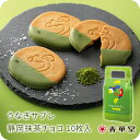 うなぎサブレ静岡抹茶チョコ　10枚入/ うなぎパイでお馴染みの春華堂の定番商品 静岡抹茶 サブレ うなぎ 抹茶 チョコ 抹茶チョコ プチギフト お菓子 焼き菓子 チョコレート クッキー 洋菓子 お土産 お祝い お礼 ギフト 贈り物 個包装 小分け 人気 常温便