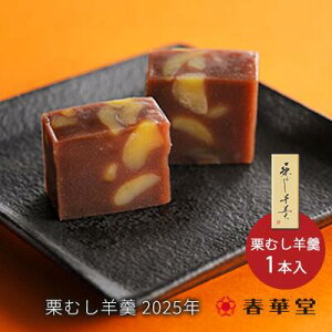 【うなぎパイの春華堂 公式】栗むし羊羹 単品 / 栗ようかん 栗羊羹 羊羹 栗蒸し羊羹 限定 栗 2025年秋 くり ようかん お取り寄せ ギフト 手みやげ 和菓子 スイーツ 常温便