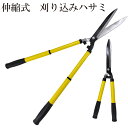 伸縮式 刈り込みハサミ 刃渡り約 20cm / 刈込鋏 高枝切りバサミ 枝切りはさみ 枝切りバサミ えだ 枝 はさみ ハサミ 園芸 ガーデニング 農業 女性 庭...