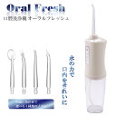 口腔洗浄器 オーラルフレッシュ 3段階調整可能 180mlタンク 4本替えノズル / ウォーターフロス ジェット 洗浄力 ウォッシャー 旅行 家庭 USB充電式 携帯型 歯間ジェット洗浄 歯周ポケット洗浄 高圧 口腔水流洗浄機 水流歯ブラシ