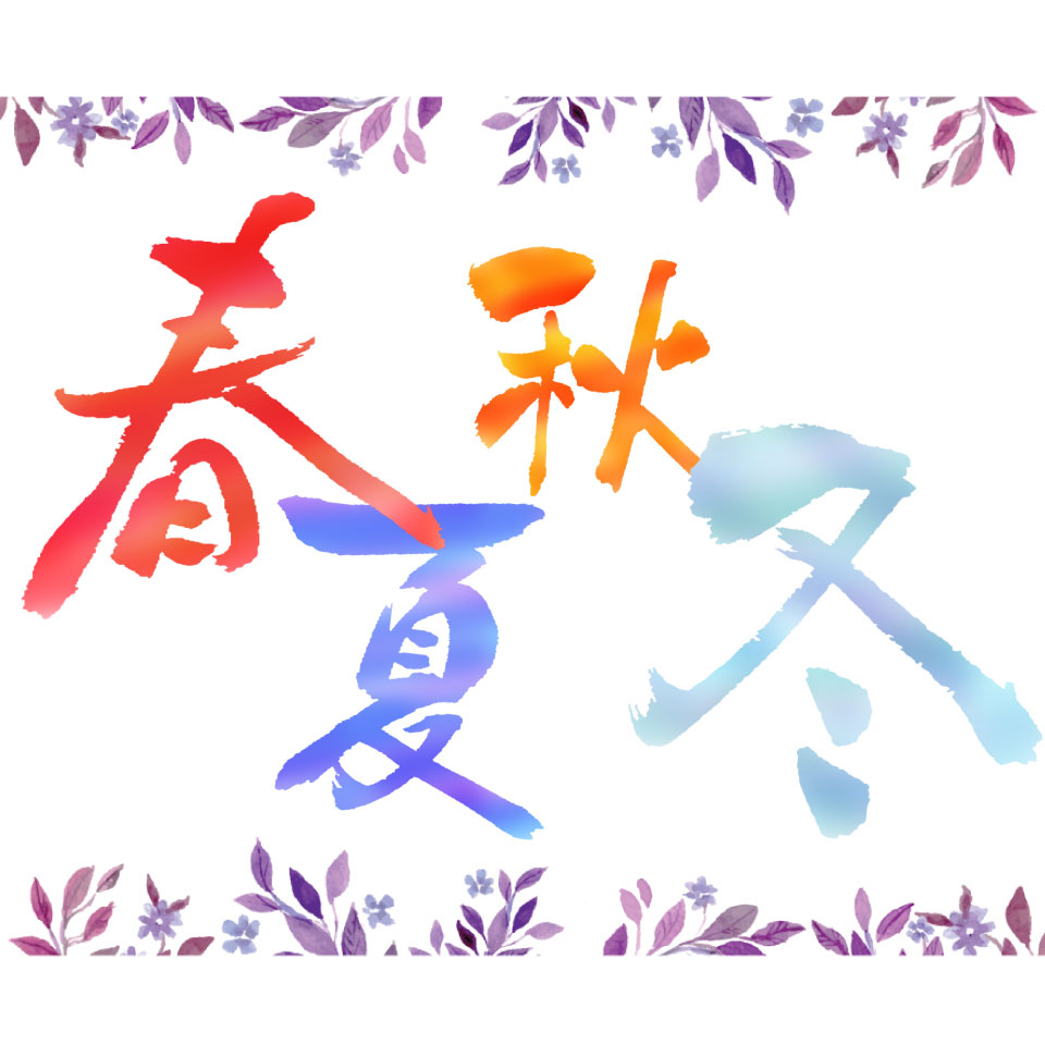 Shop icon