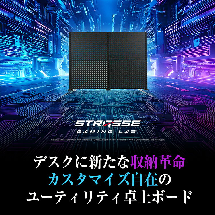 STRASSE GAMING LAB 卓上ユーティリティボード100cm 有孔ボード 卓上収納 面収納 デスクパネル[ハンコン ゲーミングデスク ストラッセ] [2]