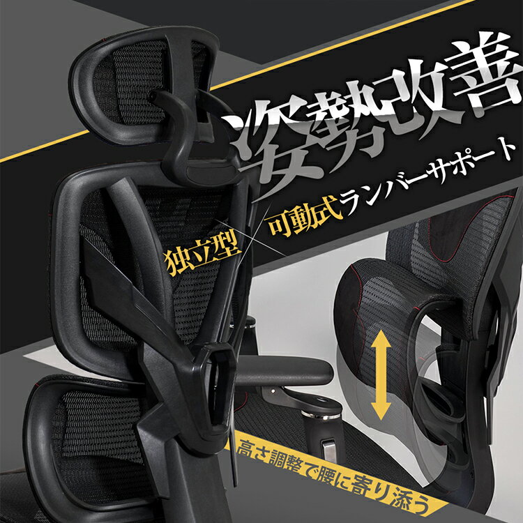 STRASSE �����ߥ󥰥����� VERIL ��å�������� ����������� ¿��ǽ ��Ω���С����ݡ��� �եåȥ쥹�� ���åȥޥ� �ѥ���������� ���ե��������� �ꥯ�饤�˥�[�ػ� ���ȥ�å� �٥��]