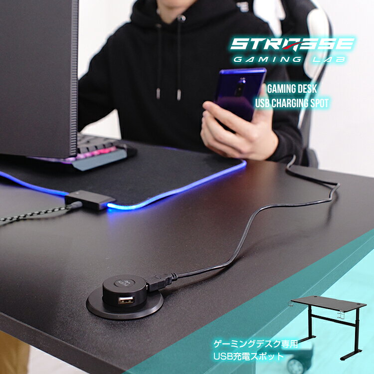 STRASSE GAMING LAB USB充電スポット デスクオプション USBケーブル差し込み [ゲーミングデスク ストラッセ ゲーミングラボ あす楽]
